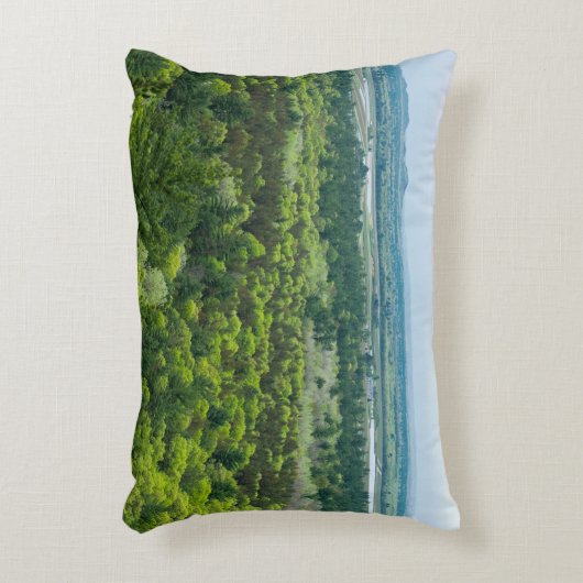 ブラックリバー州森の空中表示 アクセントクッション (正面(垂直))