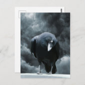 ブラックレイベン ポストカード (正面/裏面)