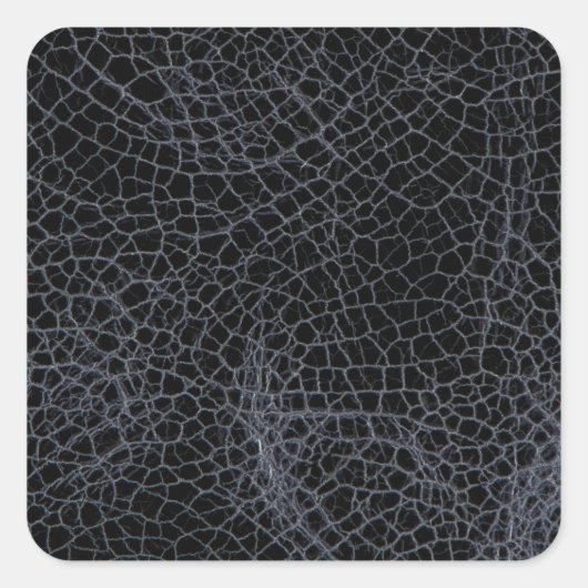 ブラックレザー スクエアシール (正面)