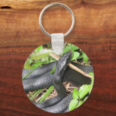 ブラックレーサースネークサンニング キーホルダー (正面)