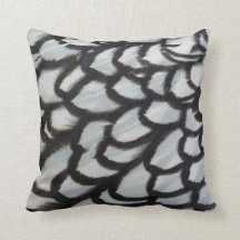 ブラックレースワインドットの羽毛