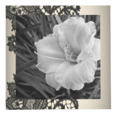 ブラックレース フォトキューブ (右)