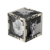 ブラックレース フォトキューブ (裏面アングル)