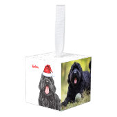 ブラックロシアのテリアツーフォトクリスマスホリデー キューブオーナメント (正面アングル)