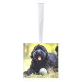 ブラックロシアのテリアツーフォトクリスマスホリデー キューブオーナメント (右)