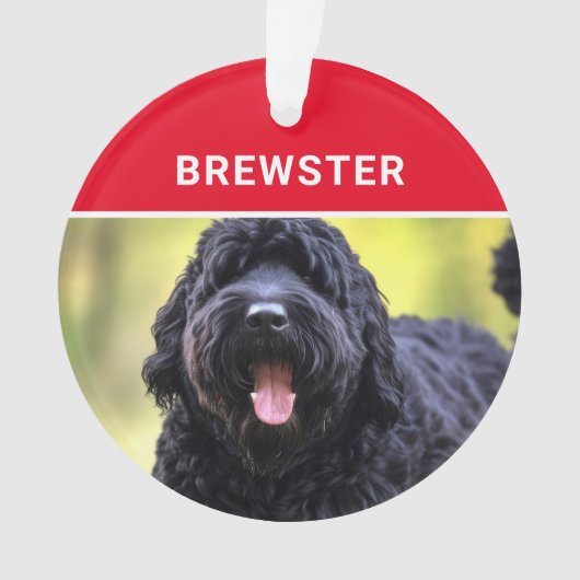 ブラックロシアのテリアードッグの名前フォトクリスマス オーナメント (正面)