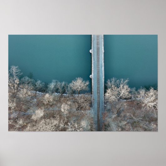 ブラックロック鉄道橋シュイルキル ポスター (正面)