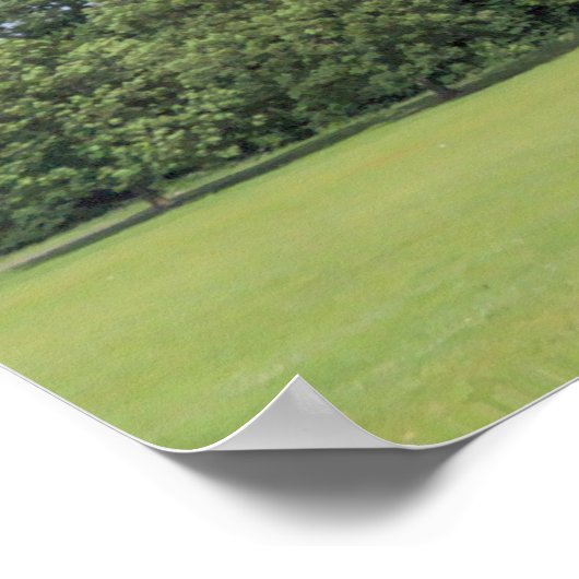 ブラックワイア・フィールド。ウェールズのカーディフ、ビュート・パーク。 ポスター (角)