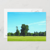 ブラックワイア・フィールド。ウェールズのカーディフ、ビュート・パーク。 ポストカード (正面/裏面)