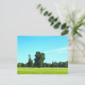 ブラックワイア・フィールド。ウェールズのカーディフ、ビュート・パーク。 ポストカード (スタンド正面)