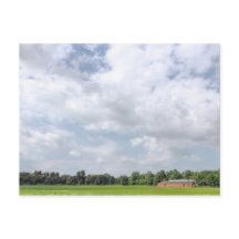 ブラックワイア・フィールド、ビュート・パーク、カーディフ、ウェールズ。