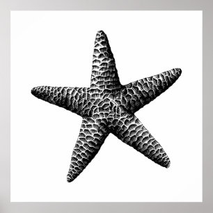 ブラックヴィンテージシースター科学イラストレーション ポスター