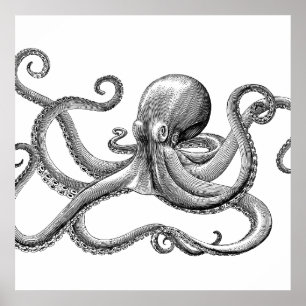ブラックヴィンテージタコ科学イラストレーション ポスター