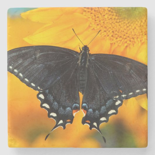 ブラック型枠オブイースタンタイガー ストーンコースター (正面)