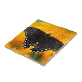 ブラック型枠オブイースタンタイガー タイル (側面)