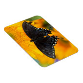 ブラック型枠オブイースタンタイガー マグネット (右側)