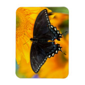 ブラック型枠オブイースタンタイガー マグネット (縦)