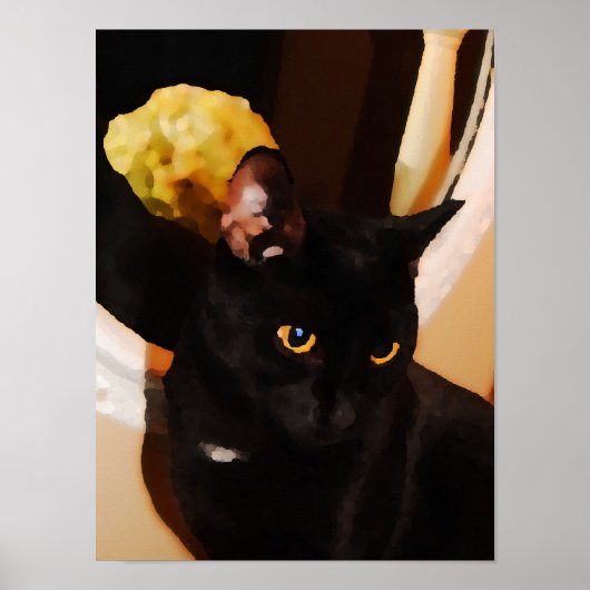 ブラック子猫 ポスター (正面)