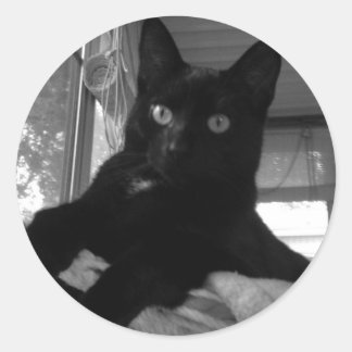 ブラック子猫 ラウンドシール