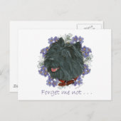 ブラック忘れカラン・テリア ポストカード (正面/裏面)