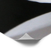 ブラック独身のでドラマチックな白い蘭の花 ポスター (角)