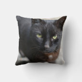 ブラック猫好きイメージとやる気を起こさせる引用文 クッション (裏面)