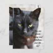 ブラック猫好きイメージとやる気を起こさせる引用文 ポストカード (正面/裏面)