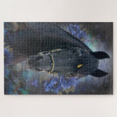 ブラック美しいフライアシアンホース – パズル (横)