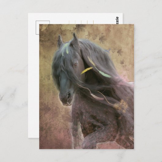 ブラック美しいフリシアンホース – はがき (正面/裏面)