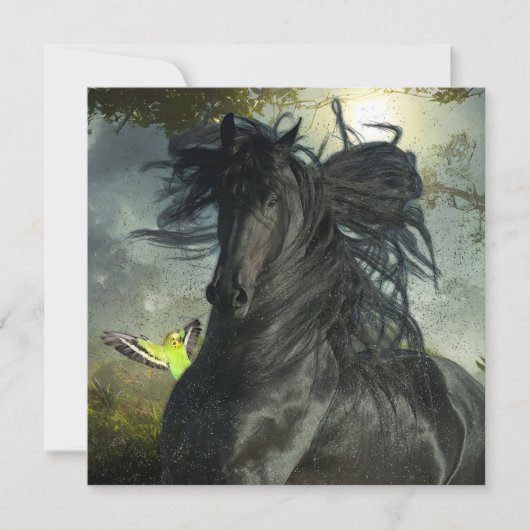 ブラック美しいフリシアンホース – グリーティングカード 招待状 (正面)