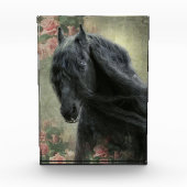 ブラック美しいフリシアンホース – フォトブロック (正面)