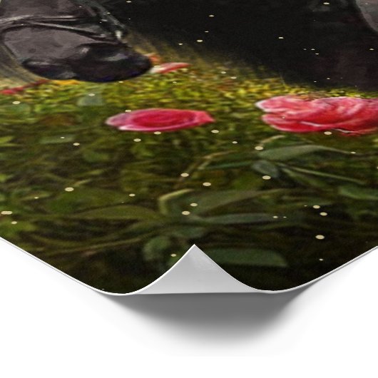 ブラック美しいフリシアンホース – ポスター (角)