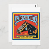 ブラック美しいヴィンテージクレートラベル – 馬 ポストカード (正面/裏面)