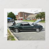 ブラック美しい2 ポストカード (正面/裏面)