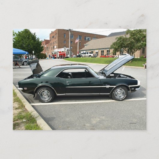 ブラック美しい2 ポストカード (正面)