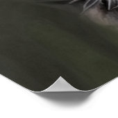 ブラック美しい ポスター (角)