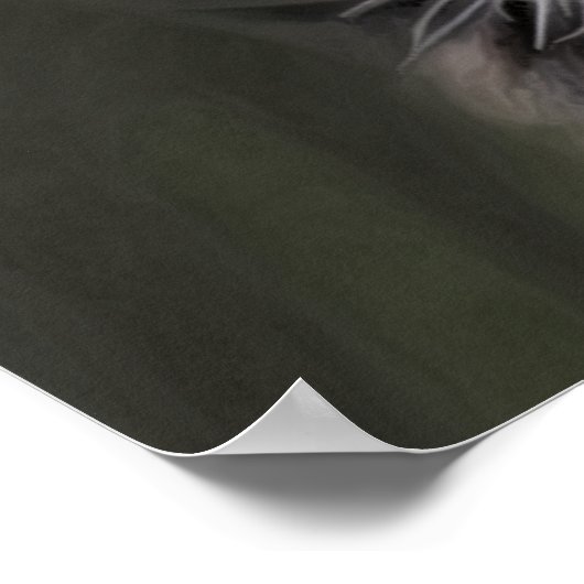 ブラック美しい ポスター (角)