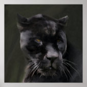 ブラック美しい ポスター (正面)