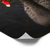 ブラック美しい ポスター (角)