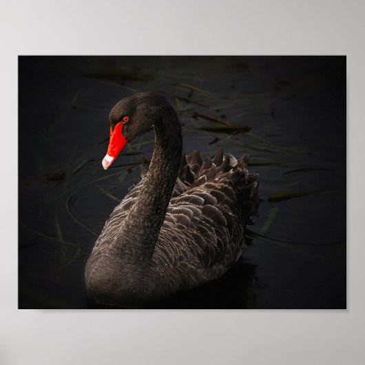 ブラック美しい ポスター (正面)