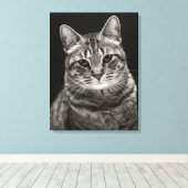 ブラック虎猫キッテン キャンバスプリント (インサイチュ (ウッドフロア))