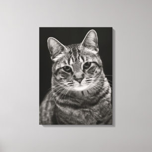ブラック虎猫キッテン キャンバスプリント