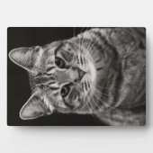 ブラック虎猫キッテン フォトプラーク (正面)