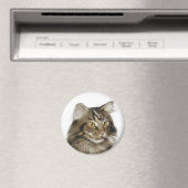 ブラック虎猫メーンクーンキャット マグネット (インサイチュ (食洗機))
