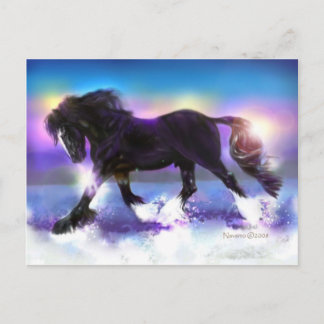 ブラック足シャー ポストカード