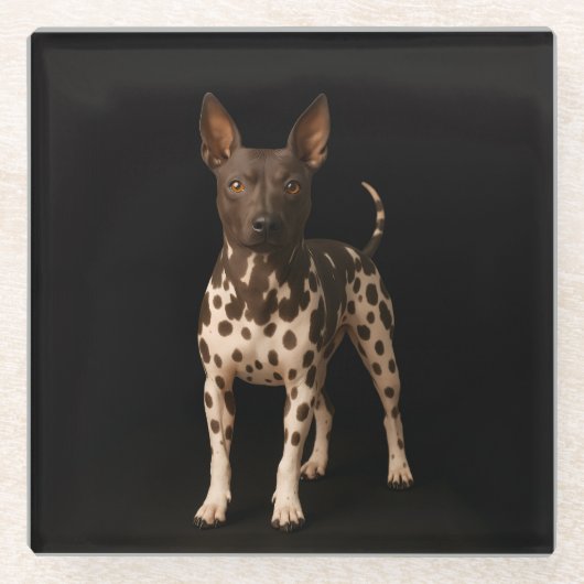 ブラック4ラグジュアリーガラス コースター ヘアレス・テリア 犬 (正面)