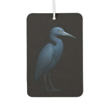 ブラック4ラグジュアリー車用芳香剤, コシグロサギ