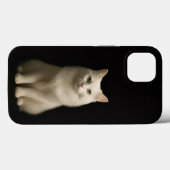ブラック4ラグジュアリーiPhone 13、トルコアンゴラ猫 Case-Mate iPhoneケース (裏面 (横))
