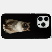 ブラック4ラグジュアリーiPhone 15 Pro Max、ビルマ猫 Case-Mate iPhoneケース (裏面 (横))
