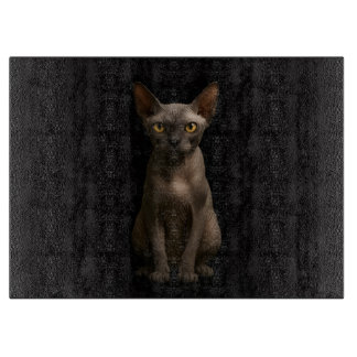 ブラック4ルクスガラスボードスフィンクスキャット カッティングボード
